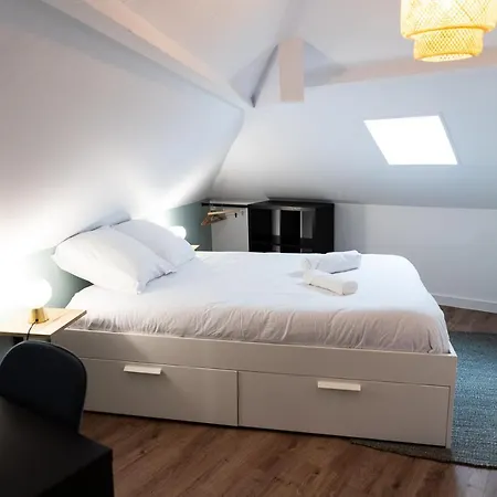 Duplex T3 Moderne Et Lumineux Angers
