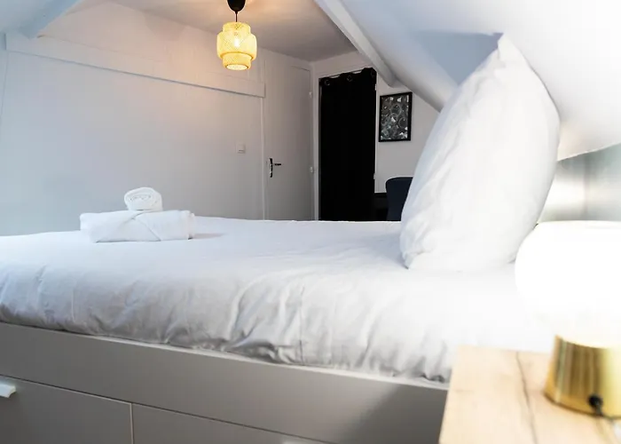 Duplex T3 Moderne Et Lumineux * アンジェ